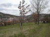 dscn4640