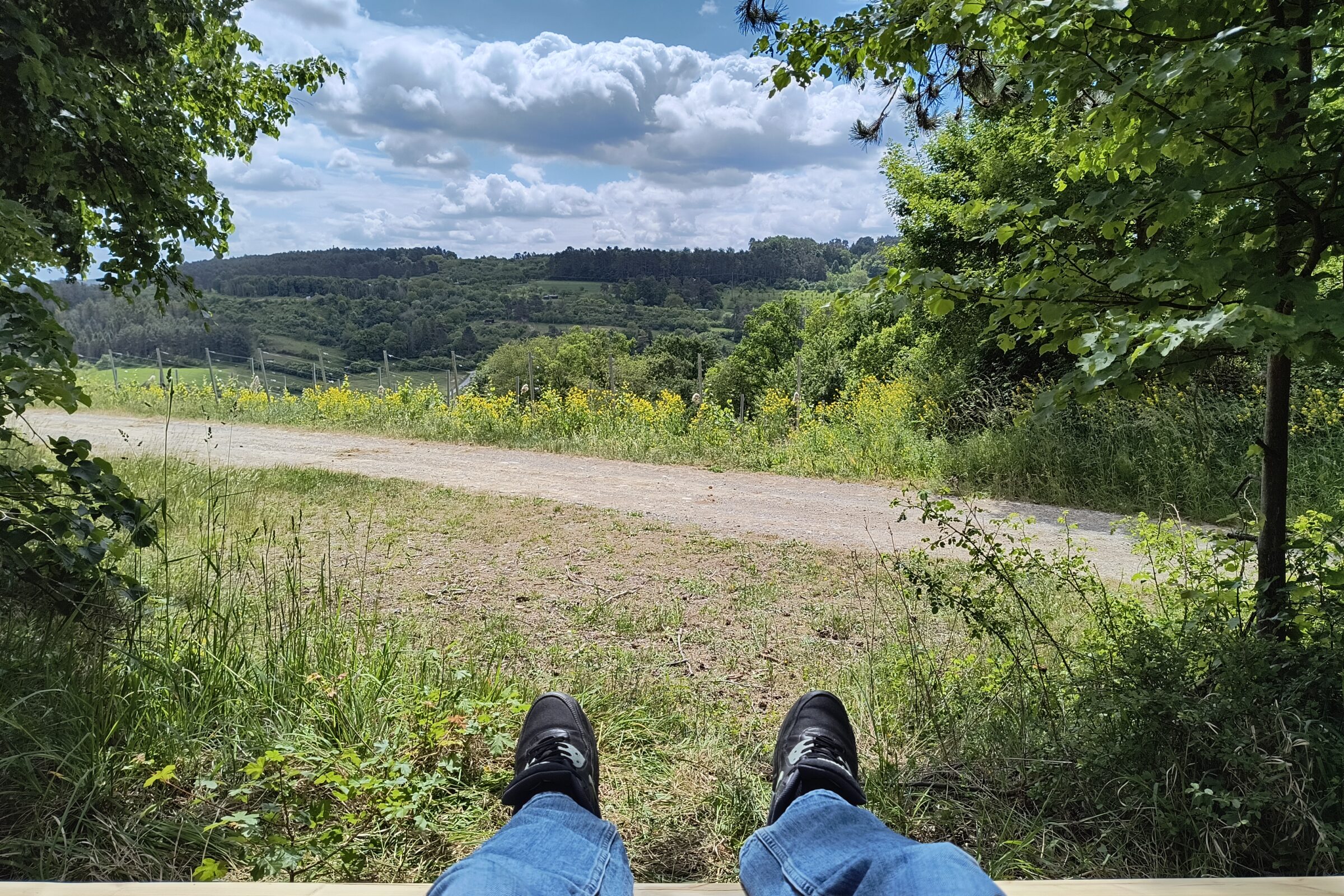 Aussichtsbank am Jubiläumsweg