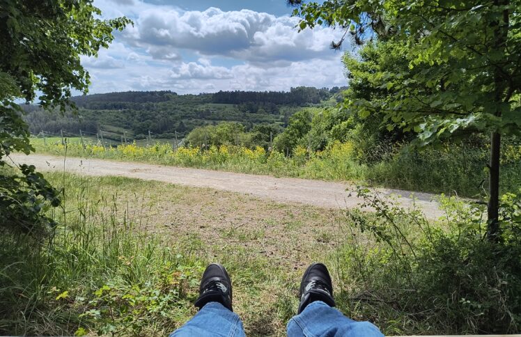 Aussichtsbank am Jubiläumsweg